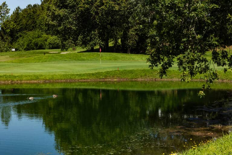 Axis Golfe Ponte de Lima (1)