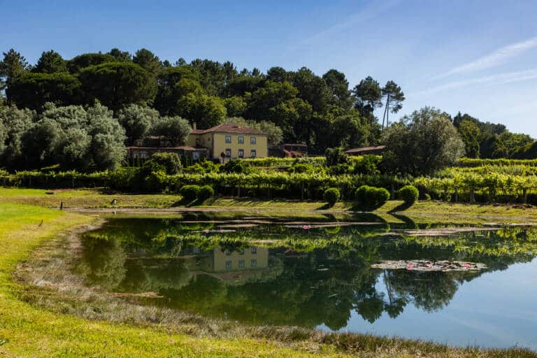 Axis Golfe Ponte de Lima (4)