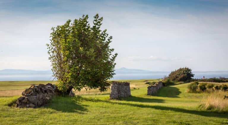 Craigielaw Natural Beauty 10