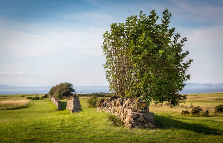 Craigielaw Natural Beauty 11