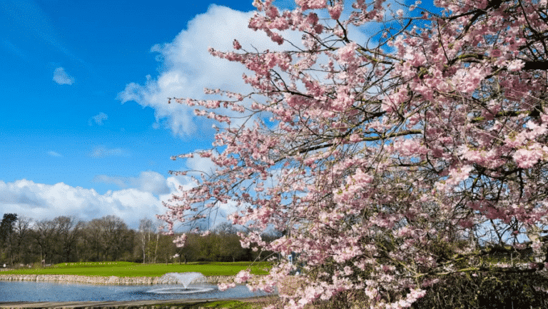 csm_Sping-_Golfbreak_1a97f7a9c0