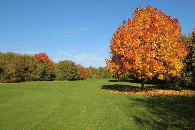 golfclub_bad_bevensen_e_v_cover_picture (1)