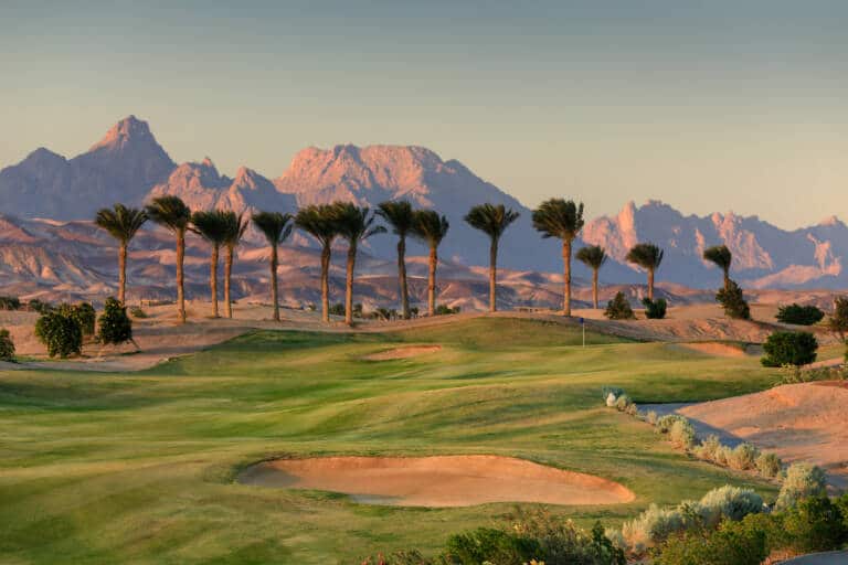 1719815696_SliderOne