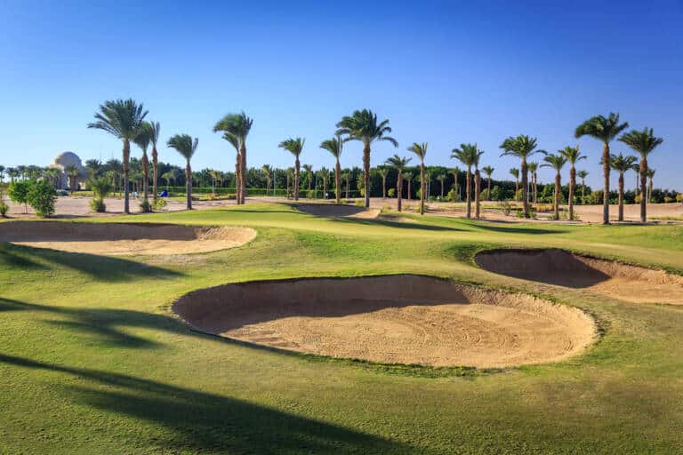 1721205051_6697813b7495b_