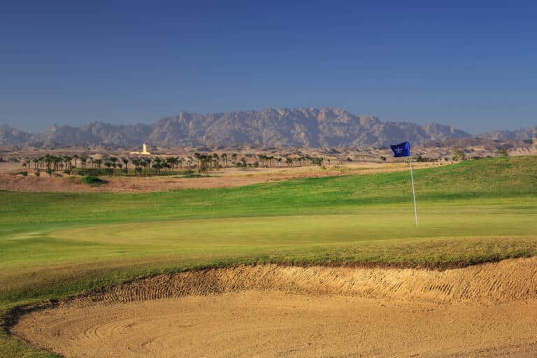 1721205051_6697813b76838_