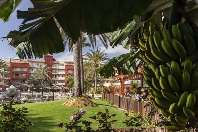 Elba Carlota Pool _ Garden Area