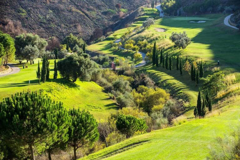 07-alferini-golf-ret367-a8dd32705d771007009737cd009a8edd