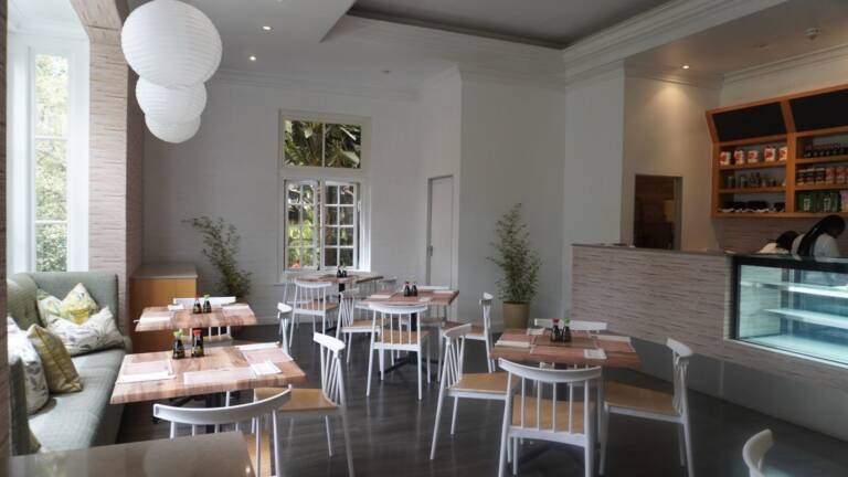 DSC05367-scaled-e1759142412887-aa537551