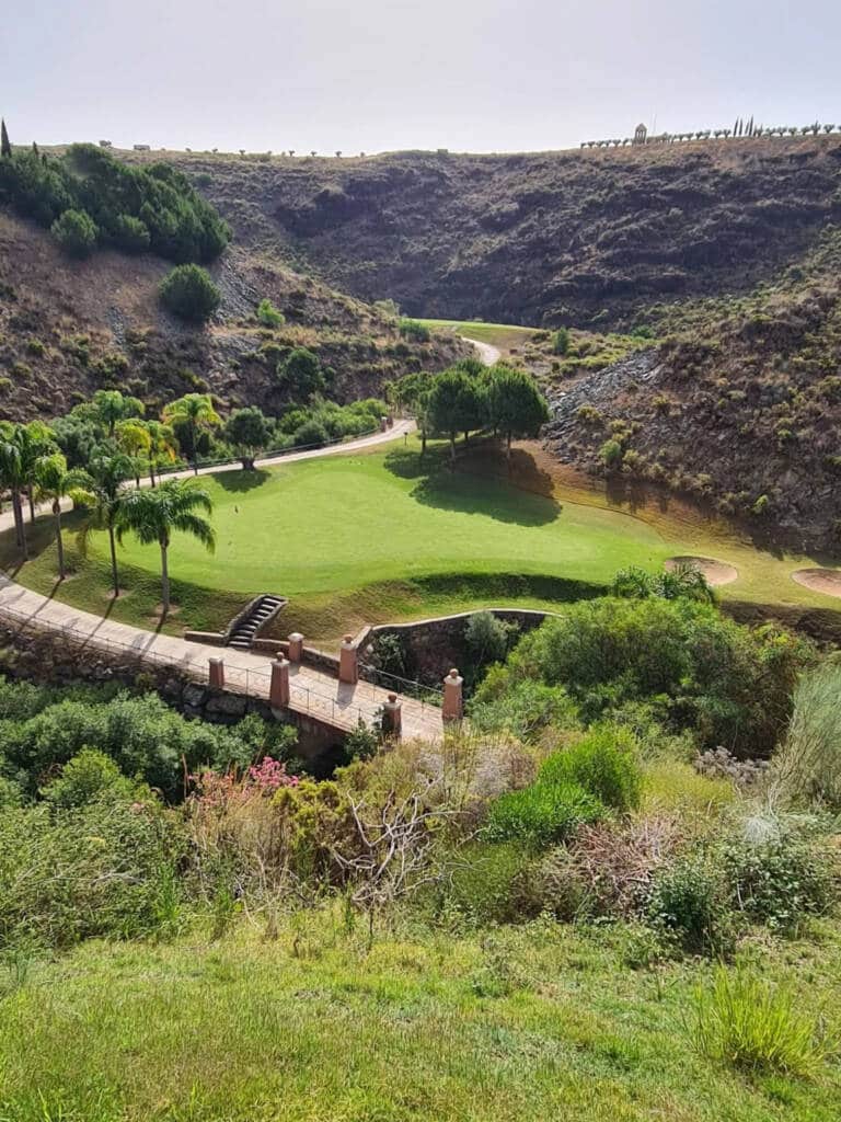 alferini-golf-june-22-2964-8c84bf75bfb38a2d9a83440a2f4a555b