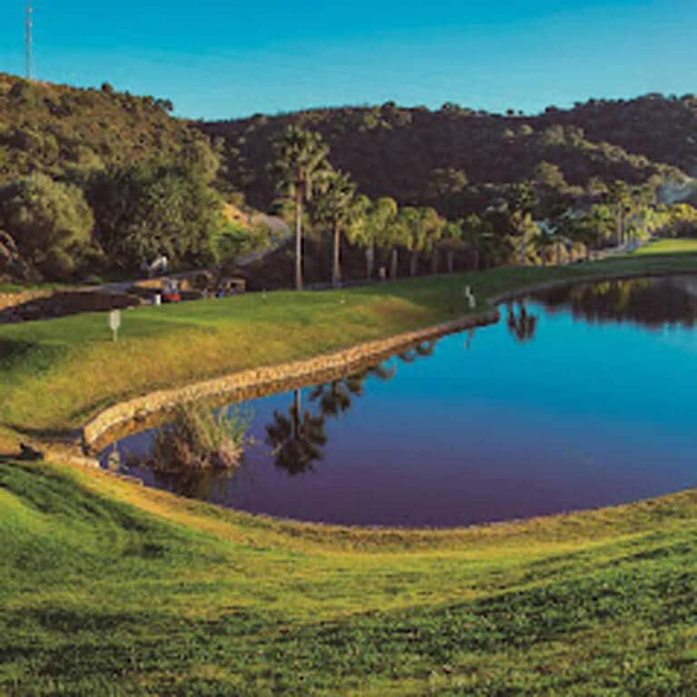 alferini1tee10606-368194a67352f02a322fc181d703bf72