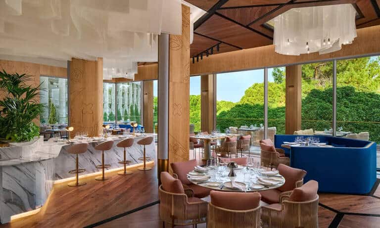 gsr_fuego_5-1200x720