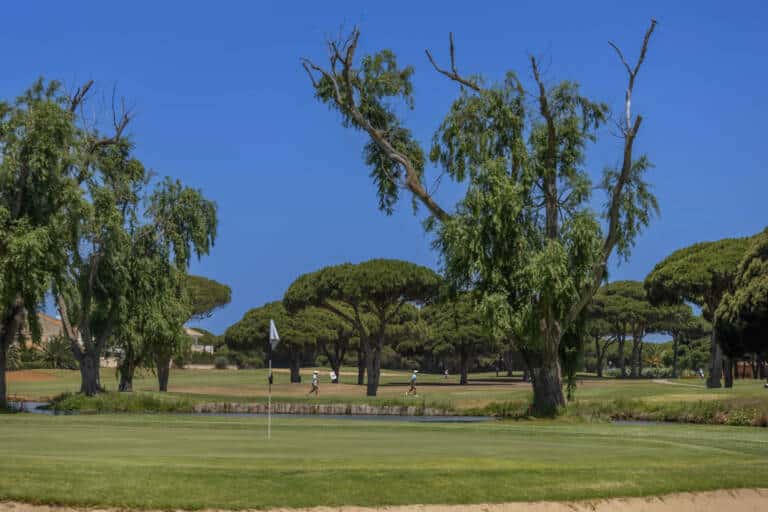 Real-Novo-Sancti-Petri-Golf-Course-in-Andalusian-.-Campo-de-Golf-en-Cadiz